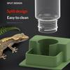 1Pcs Automatic Reptile Bowl Automatic Reptile Feeder Tortoise Water Dish Gecko Drink Dispenser For Lizard Chameleon Snake