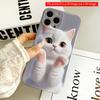 2DFlat Adorable White Kitten with Pink Paws All Inclusive Film Hard iPhone Case, Compatible with iPhone 18 Pro Max 17 16 15 14 13 12 11