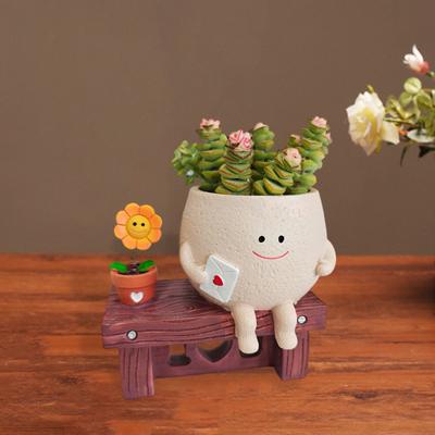 Kvetináč Slnečnica Usmievavá tvár Živica Kreslená hlava Kvetináč Vnútorný Vonkajší Kaktus Sukulentné rastliny