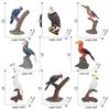 Cross-border Bird Model Toys: Kingfisher, Eagle, Woodpecker, Parrot, Toucan - Enhancing Children's Cognitive Skills