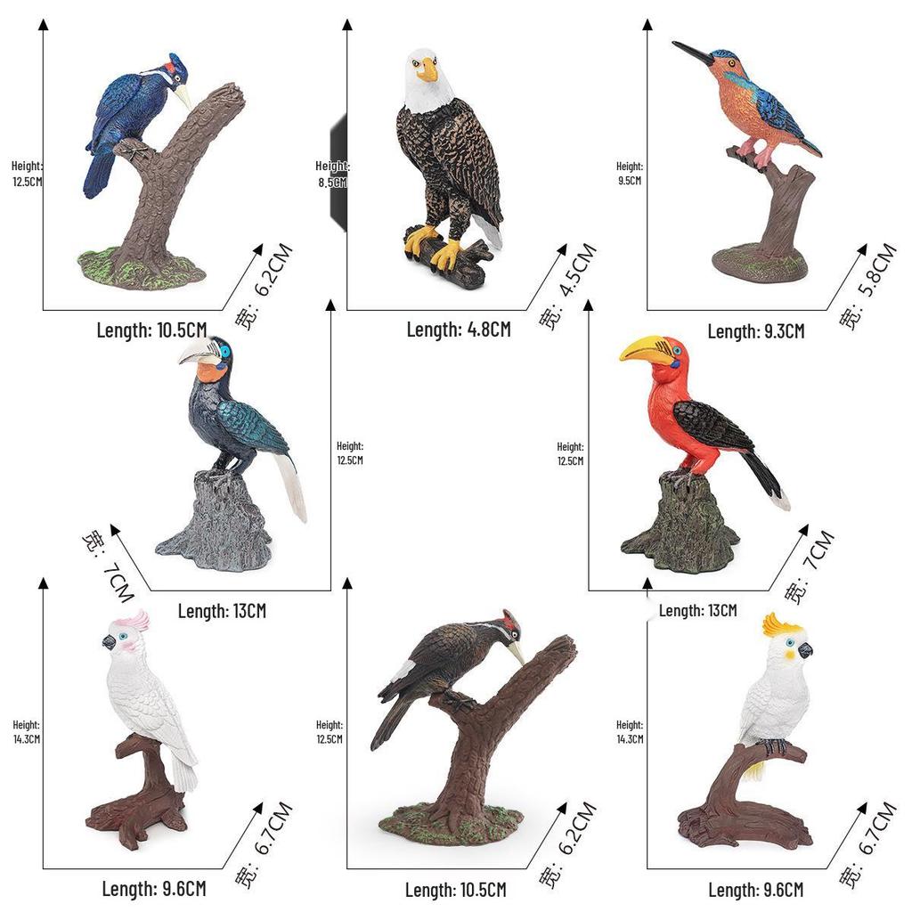 Cross-border Bird Model Toys: Kingfisher, Eagle, Woodpecker, Parrot, Toucan - Enhancing Children's Cognitive Skills