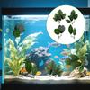KALIONE 4 Pcs Fish Leaf Pad - 4 Styles Betta Leaf Hammocks with Suction Cup, Fish Tank Accessories Aquarium Décor for Simulating Natural Habitats