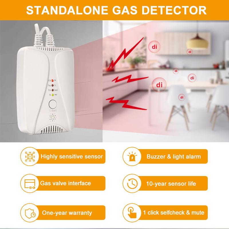 HD2000 Gas Detector And Carbon Monoxide Detector Natural Gas Leak Detector CH4/LPG/CO Gas Alarm AC220V Plug In Home Restaurant