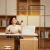 Full Spectrum Eye-Protection Study Floor Lamp for Children and Students