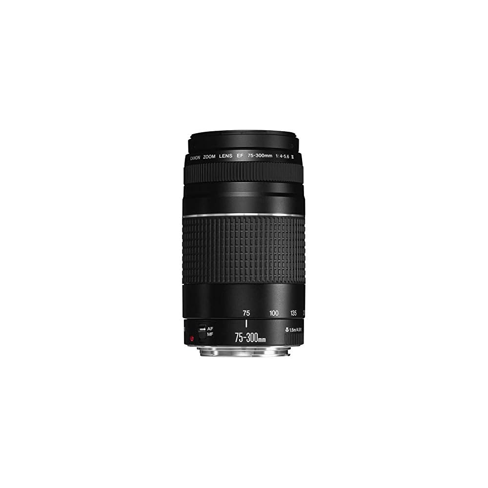 Canon EF 75-300mm F/4-5.6 III Telephoto Zoom Lens