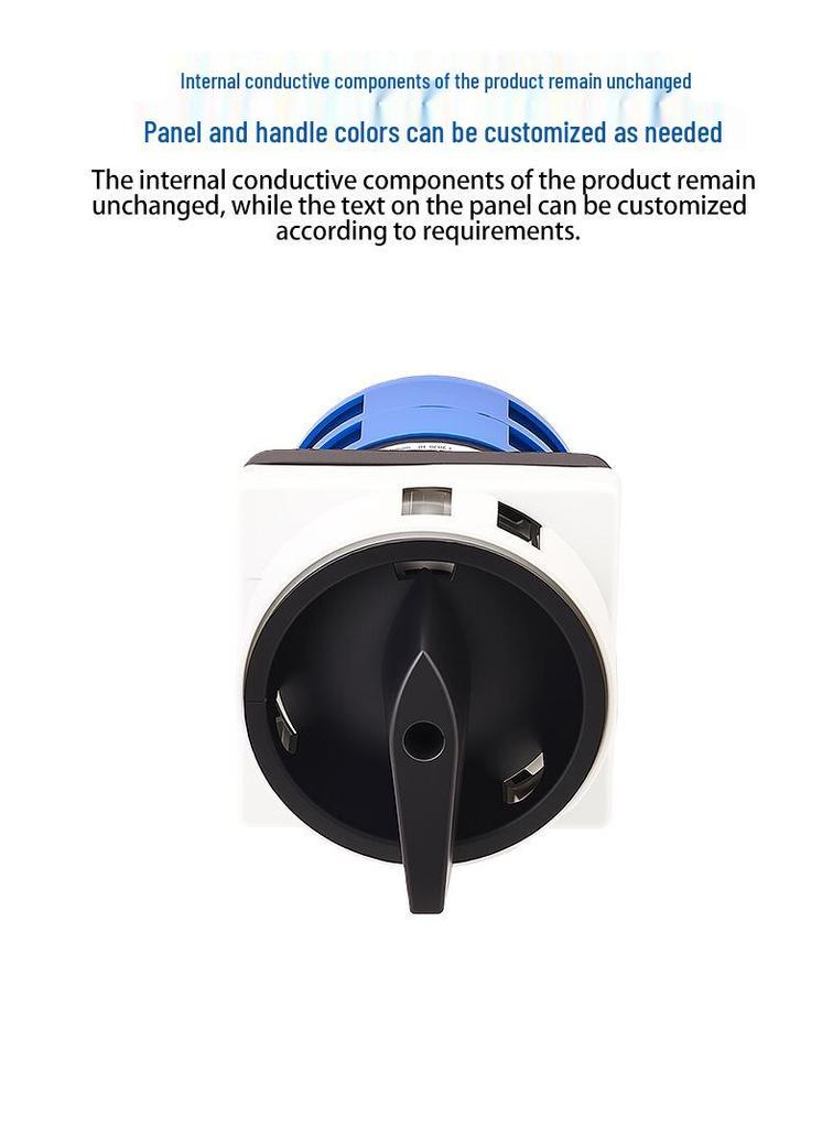 Zhuochao SZW26-32/2GS Gray Two-Position Power Disconnect/Changeover Switch
