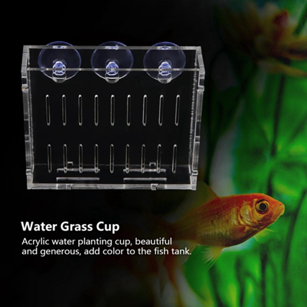 

Three Suction Cups Water Grass Cup Clear Acrylic Landscape Plants Cup Aquarium Plant Cup Fish Tank