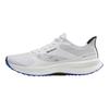 Reebok Floatride Energy 6 White Blue Black Men Sneakers 100210145