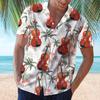 Camisas – Camisas de manga curta