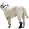 Anti-lick Dog Paws Protector Post Surgical Dogs Shoe New Dog Paw Protection Boot