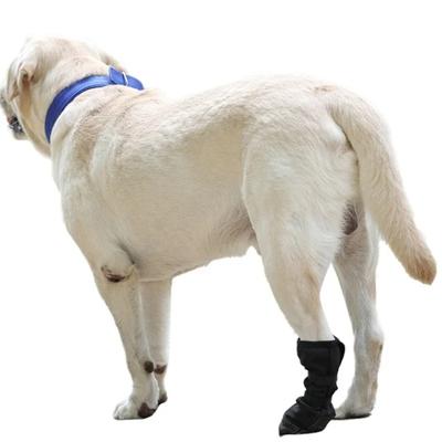 Durable Anti-lick Dog Paw Protection Boot Post Surgical Wound Recovery Dog Paws Protector Waterproof Dogs Shoe