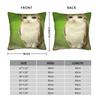 Internet Famous Meowl Cat Owl Meme Pillow Case  Square Pillow Cover Retro Trendy Pillowcases For Chair Sofa Home Decor