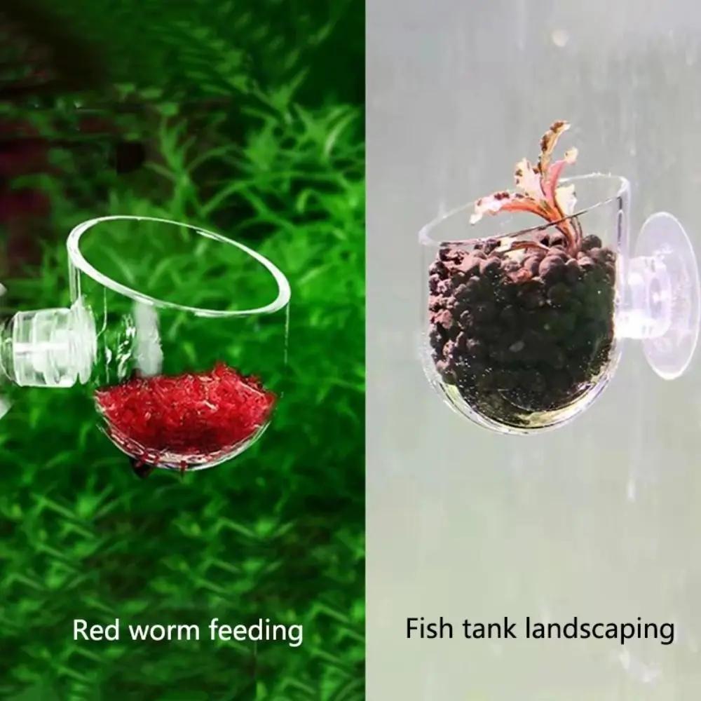 New Tapered Hopper Basket Automatic Feeder Plastic With Suction Cup Aquarium Red Worm Feeding Fish Tank Cone