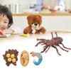 Animals Growth Cycle Life Cycle Model Learning Teaching Model Toy for Children#3