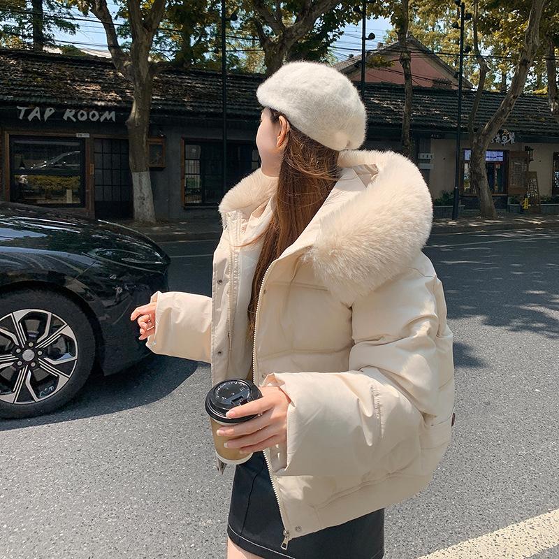 

Winter new big fur collar cotton clothes women s short loose casual thickened small jacket M