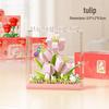 Champagne Rose Potted Plant Model - Dream Flower Box Building Blocks Toy Gift (2025 Edition)
