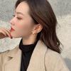 Korea Dongdaemun Golden Stud Earrings Femininity Versatile 925 Silver Needle Earrings Cold Wind Ears