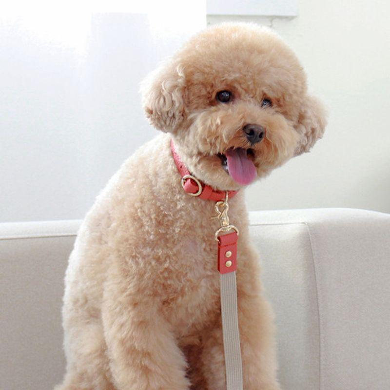 MAISON DE MIU Freisprecheinrichtung Earth Komplettset (Leine/Leine/Handschlaufe) Koralle