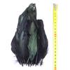 50Pcs Natural Black Goose Ostrich Feathers For Jewelry Earrings Making Diy Dream Catcher Decoration Crafts Plume Accessories