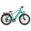 ENGWE E26 26" Step-Over Electric Bike 250W 48V16Ah 100km Max Range, Long Range E-Bike with Rear Cargo Rack for Commuter & Travel Riding