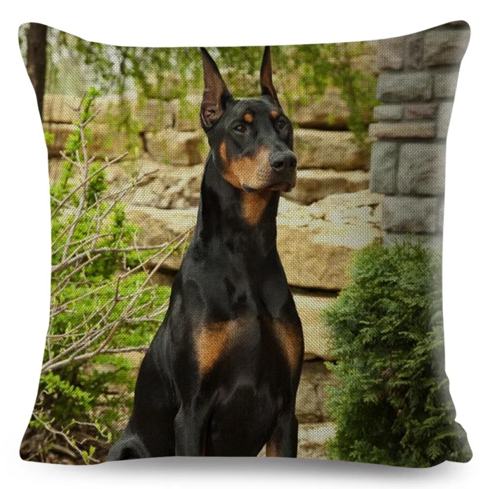 

Doberman Pinscher Pet Dog Cushion Cover Decor Animal Pillow Case for Sofa Home Car Linen Both Sided Print Throw Pillowcase 12x12Inch