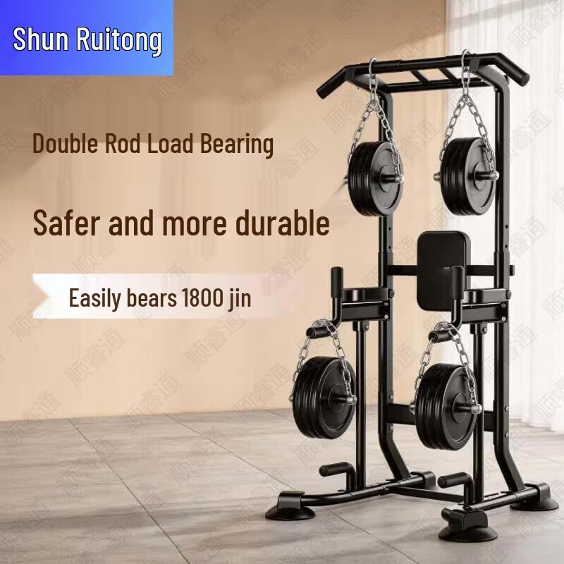 Shunruitong Wall-Mounted Pull-Up and Dip Station