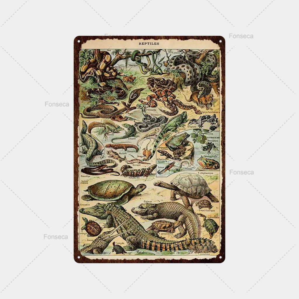 Fish, Fish, Flower Variety Sign Metal Sign Vintage Tin Sign Bar Vintage Wall Decor Bar Club Man Cave Metal Poster