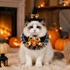 Funny Halloween Pet Accessories 1 Set Cat Costume, Wizard Hat And Lace Bandana, Ruffled Bib Witch Scarf with Bow Bell, Holiday Party Outfit for Small
