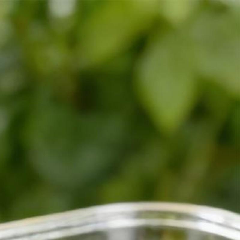 

Heated Ice Cream Scoop 2 Temperature Settings Heating Ice Cream Scoop Stainless Steel Heat Scooper for Family/Gathering/Picnic China Mainland