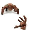 New Style Project Hail Mary Rocky Plush Doll Cute Anime Peripherals Toy Birthday Christmas Gift