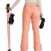 Roxy Womens/Ladies Backyard Ski Trousers