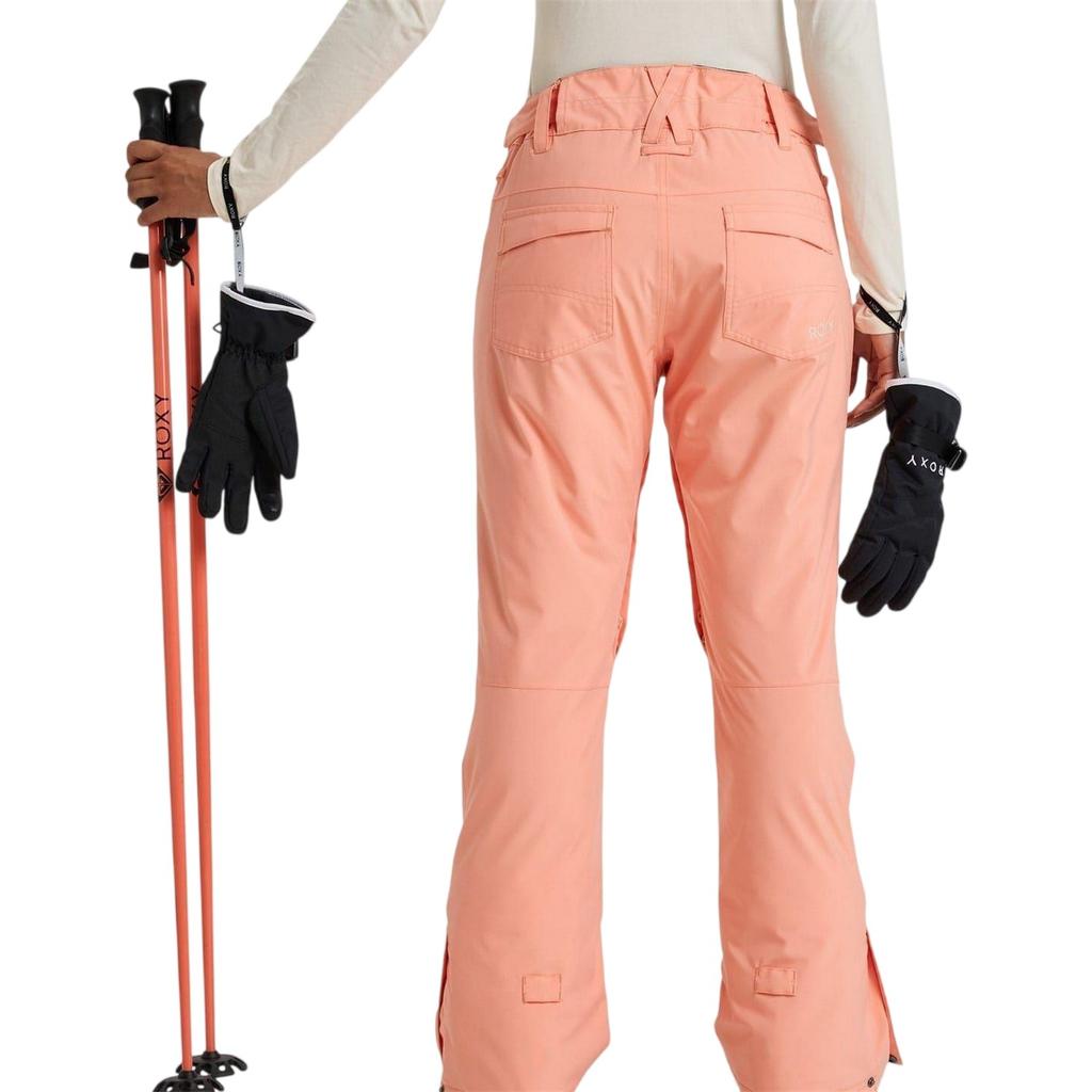 Roxy Womens/Ladies Backyard Ski Trousers