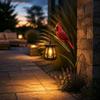 Solar Cardinal Redbird Outdoor Lanterns Metal Garden Stake Lights Waterproof LED Decorative Landscape Lamp for Patio Lawn Yard Art & Gift
