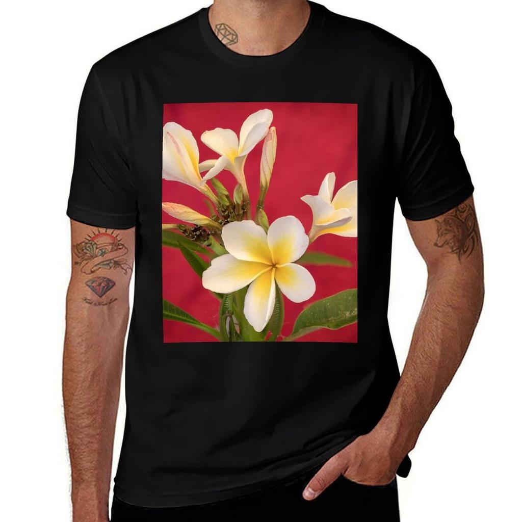 Frangipani Study Tshirt Casual Work Wear Tshirt