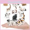 Amerikanische Kurzhaarkatze PVC-Tierfigur Statisches Modell Für Kinderzimmer Dekoration