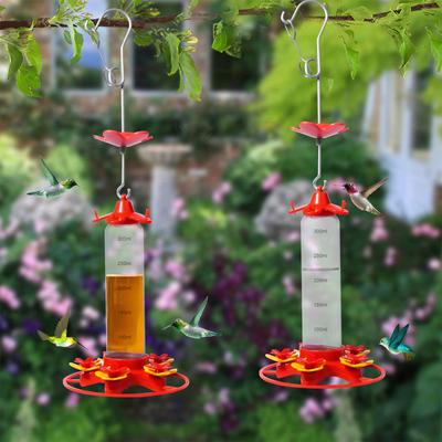 Robuster Kolibri-Wasserspender in leuchtenden Farben, ameisenabweisend und leicht zu reinigen, ideal für Gärten im Freien