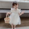 Rochii de tort pufoase pentru fete Fusta din plasă Broderie Volană Costum de petrecere de Crăciun pentru copii Rochie de tutu de aniversare Îmbrăcăminte pentru copii