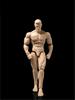 Scale Action Male Body Normal White Muscular Male Body Flexible Miniature Action Figure Body Doll Collection 1/12 Figure, 6-Inch Model, Skin, Model,