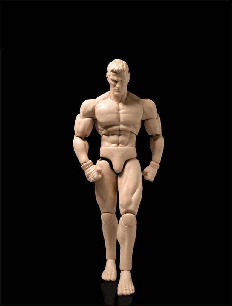 Scale Action Male Body Normal White Muscular Male Body Flexible Miniature Action Figure Body Doll Collection 1/12 Figure, 6-Inch Model, Skin, Model,