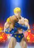 TAMASHII NATIONS Kinnikuman Terryman approximately 150mm painted movable figure S.H.Figuarts PVC&ABS