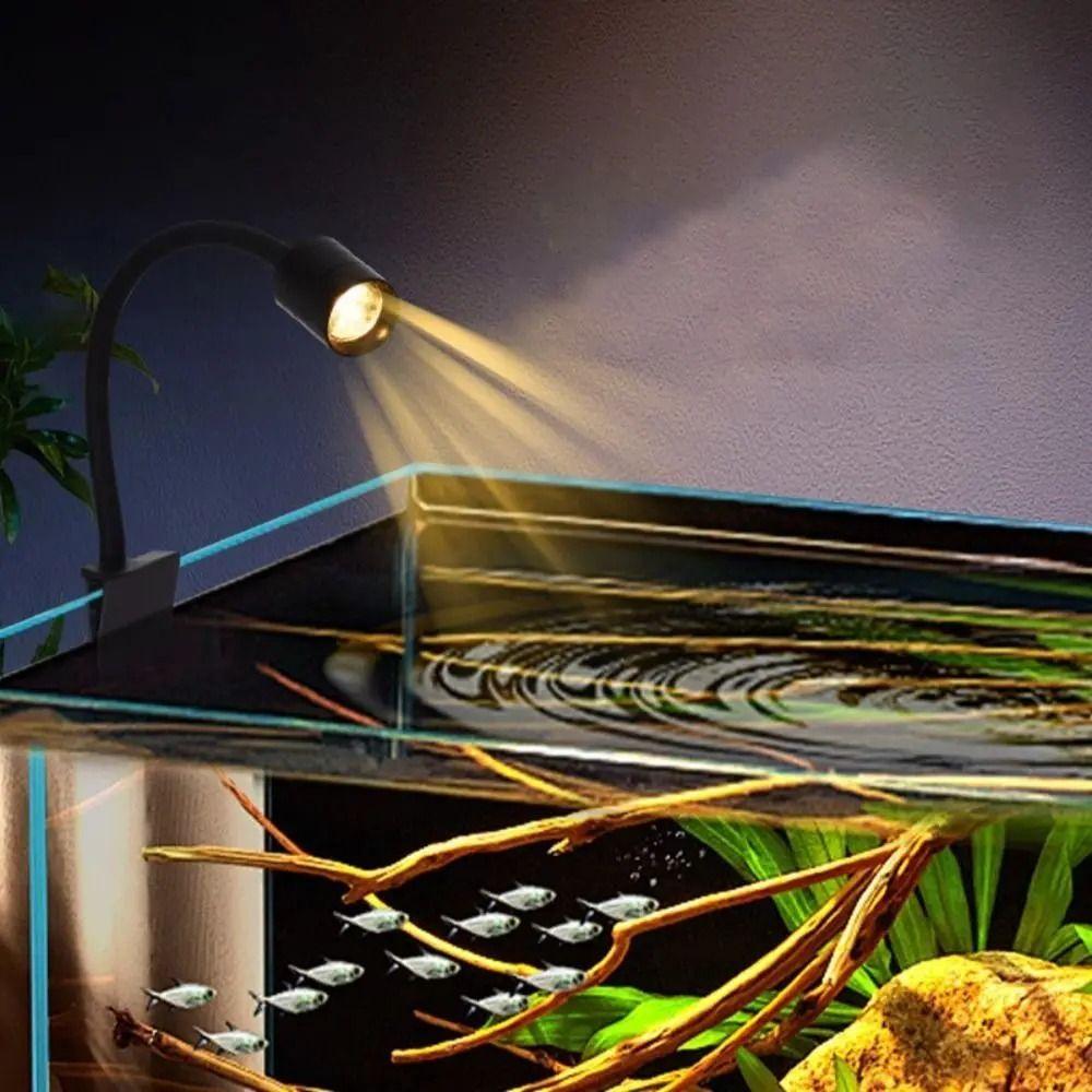 Adjustable Fish Tank Clip Lamp USB Fish Tank Lights New LED Aquarium Light  Home Decorations