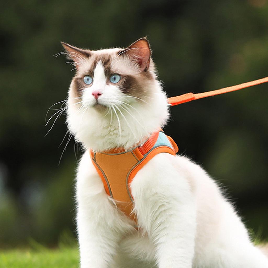 Cat Leash, Antislip Vest Style Reflective Cat Leash, Popular Cat Chest
