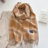 Autumn and winter new versatile scarf women's thickened woven thick beard fringed warm scarf imitation cashmere shawl