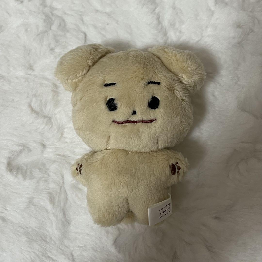 

[Б/У] ENHYPEN Джейк 10 см Мастер Плюшевая Игрушка