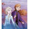 Frozen Fleece Blanket 100 X 140 Cm