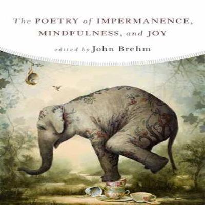 The Poetry of Impermanence Mindfulness and Joy by John Brehm Paperback Book 9781614293316