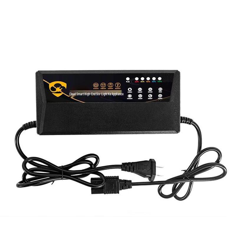 Yi Ting Tricycle Battery Charger