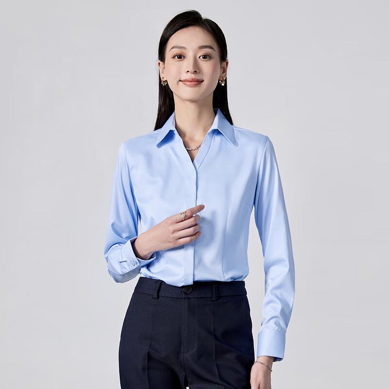 Trolman Women's Wrinkle-Free V-Neck Long-Sleeve Professional Blouse