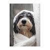 Cute Shower Dog Bathroom Decor Poster Dog in Bathtub Print Animal Murals Canvas  for Home Decor Dog Lover Gifts