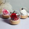 Preserved Roses Music Box Sweet Preserved Flowers Music Box for Mothers Day Decor Gift